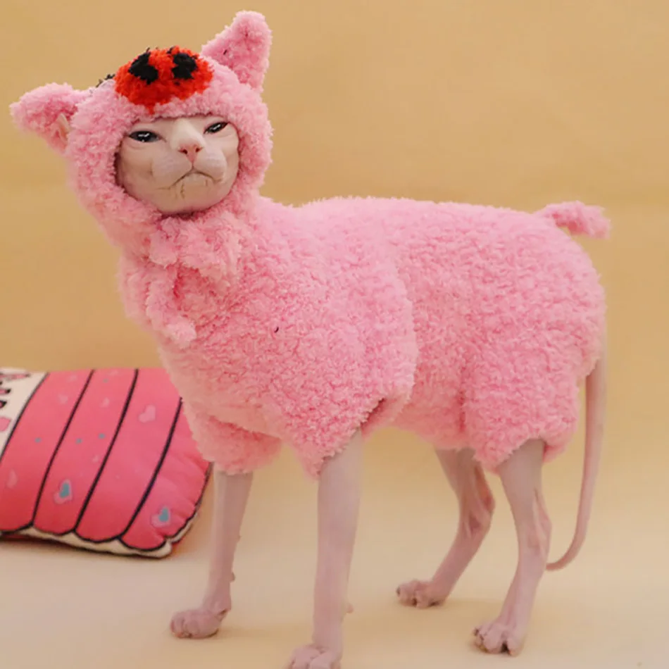 Best Cute Sphynx Cat Clothes Winter Coral Fleece Warm Thick Clothing For Sphinx Cat Kitten Coat Jacket Sphinksu Clothing Outfit
Best Cute Sphynx Cat Clothes Winter Coral Fleece Warm Thick Clothing For Sphinx Cat Kitten Coat Jacket Sphinksu Clothing Outfit