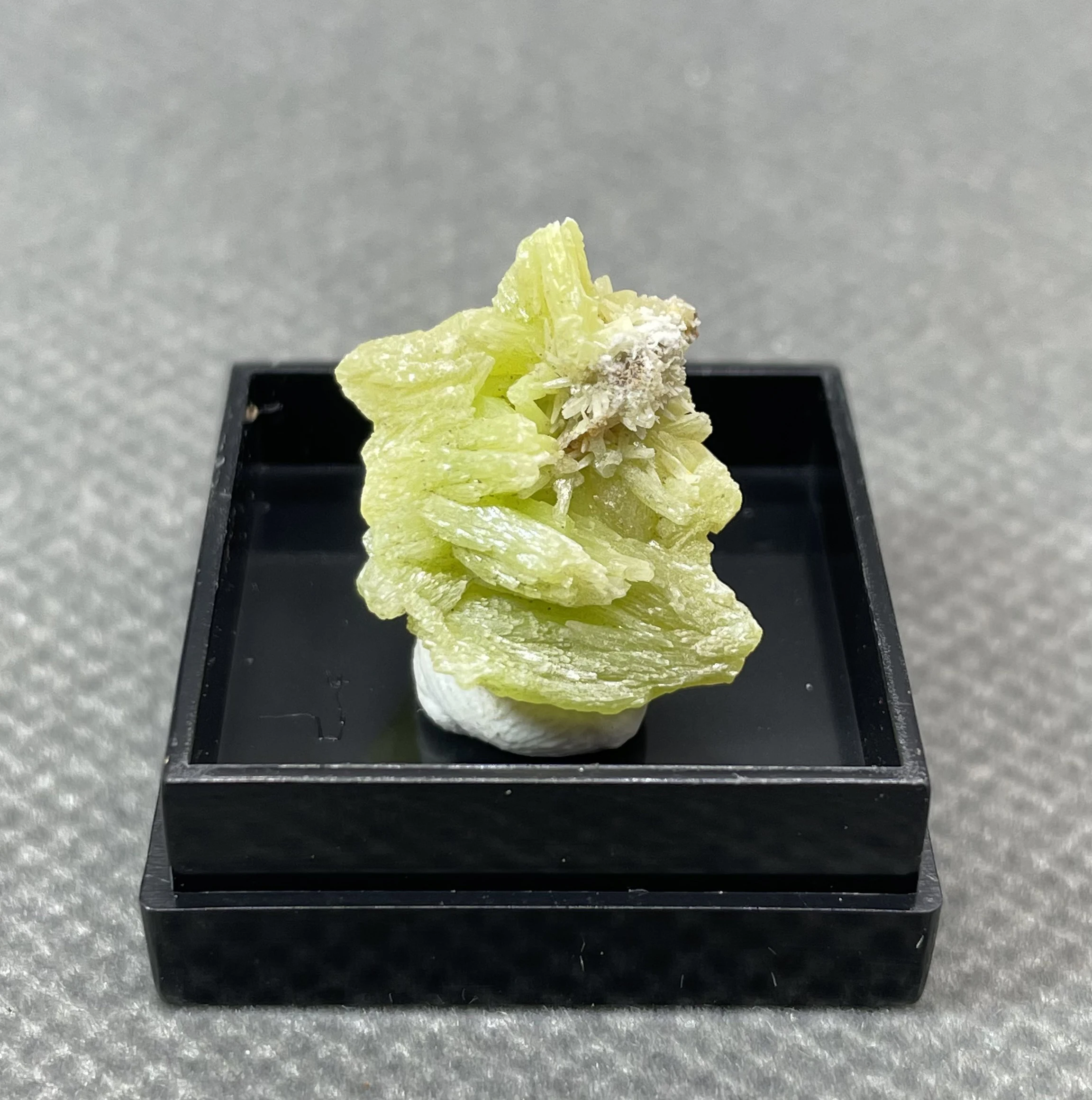 NEW! 100% Natural rare Pyromorphite mineral specimen stones and crystals collection gemstones quartz size about 1cm
NEW! 100% Natural rare Pyromorphite mineral specimen stones and crystals collection gemstones quartz size about 1cm