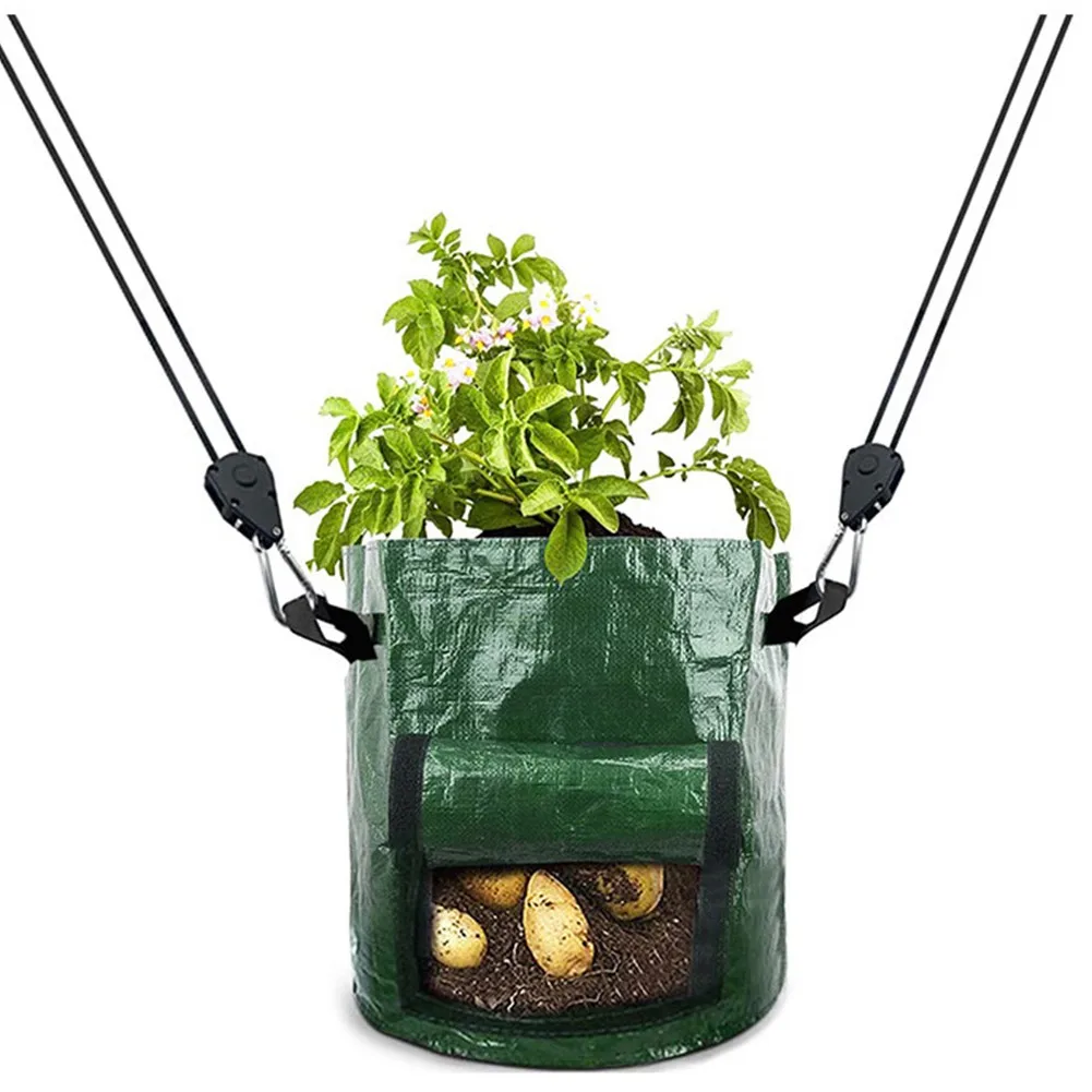 2Pcs Adjustable Pulley Ratchets Lifting Rope Heavy Duty Lanyard Hanging Light Hanger For Tent Fan Led Grow Plant Lamp Rope Tool
2Pcs Adjustable Pulley Ratchets Lifting Rope Heavy Duty Lanyard Hanging Light Hanger For Tent Fan Led Grow Plant Lamp Rope Tool