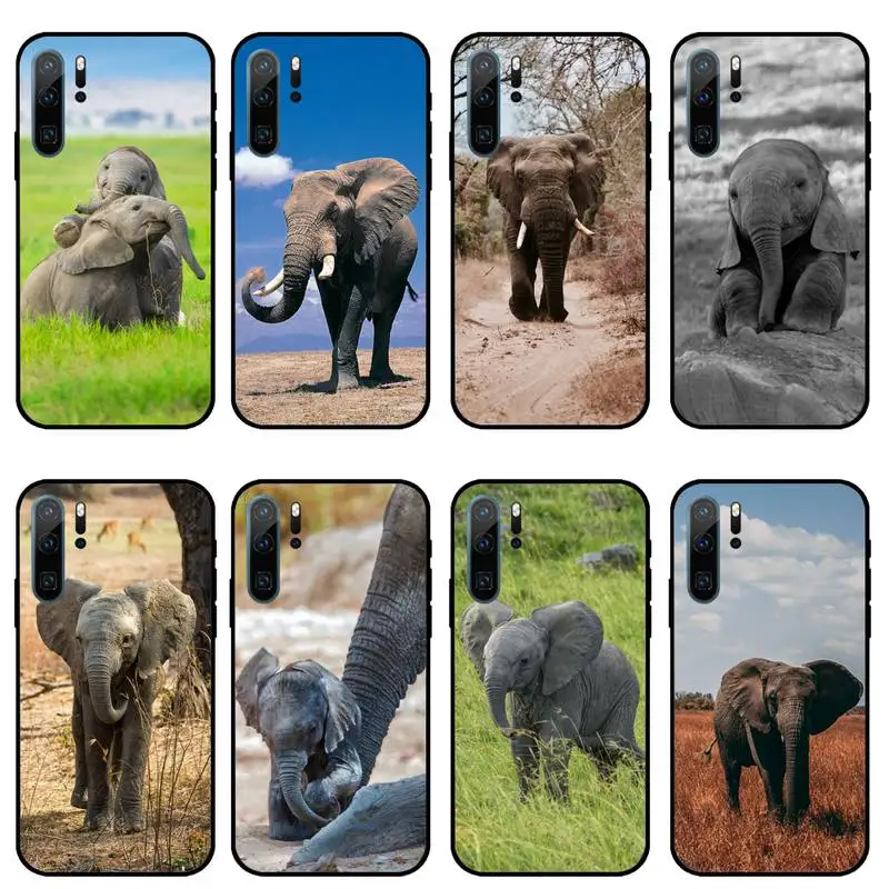 Elephant Cute animal Phone Case For Huawei honor Mate 10 20 30 40 i 9 8 pro x Lite P smart 2019 Y5 2018 nova 5t
Elephant Cute animal Phone Case For Huawei honor Mate 10 20 30 40 i 9 8 pro x Lite P smart 2019 Y5 2018 nova 5t