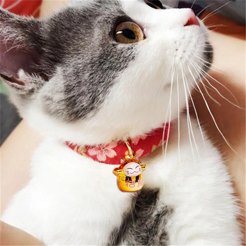 Cute Bell Collar Adjustable Buckle Cat Collar Pet Supplies Puppy Kitten Collar Rabbit Necklace Small Dog Accessory
Cute Bell Collar Adjustable Buckle Cat Collar Pet Supplies Puppy Kitten Collar Rabbit Necklace Small Dog Accessory