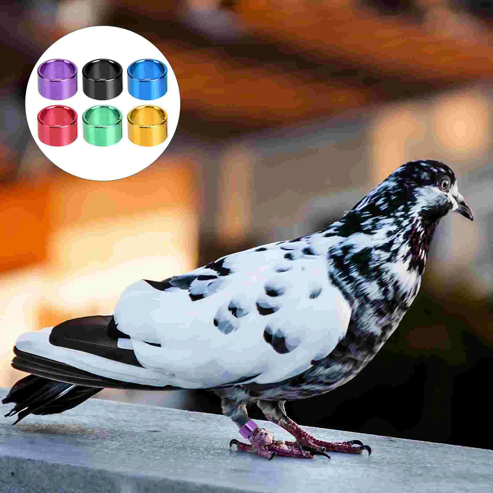 Leg Bands Ring Rings Bird Chicken Pigeon Foot Poultry Parrot Band Budgie Ankle Identification Dove Cockatiel Pigeons Racing Tags
Leg Bands Ring Rings Bird Chicken Pigeon Foot Poultry Parrot Band Budgie Ankle Identification Dove Cockatiel Pigeons Racing Tags