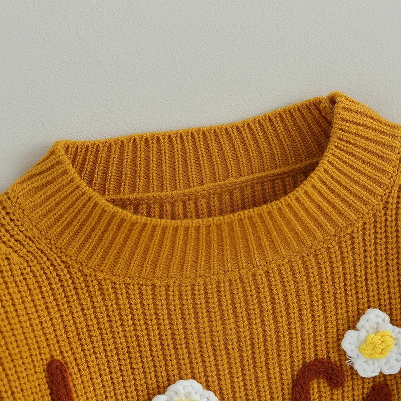 Big Sister Baby Girl Matching Outfit Newborn Fall Winter Knit Romper Long Sleeve Sweater Clothes
Big Sister Baby Girl Matching Outfit Newborn Fall Winter Knit Romper Long Sleeve Sweater Clothes