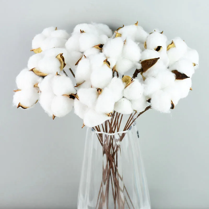 Natural Dried Flowers Cotton Branches Home Decor Cotton Garland For Diy Wedding Living Room Decoration Vase Artificial Flowers
Natural Dried Flowers Cotton Branches Home Decor Cotton Garland For Diy Wedding Living Room Decoration Vase Artificial Flowers