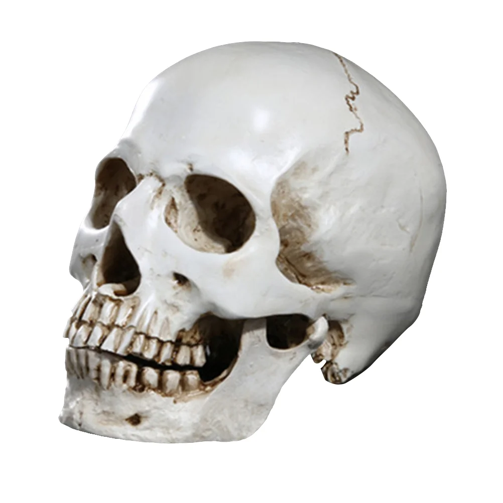 1PC Creepy Mini Scary Human Replica Resin Human Skeleton Human Model for Haunted House
1PC Creepy Mini Scary Human Replica Resin Human Skeleton Human Model for Haunted House
