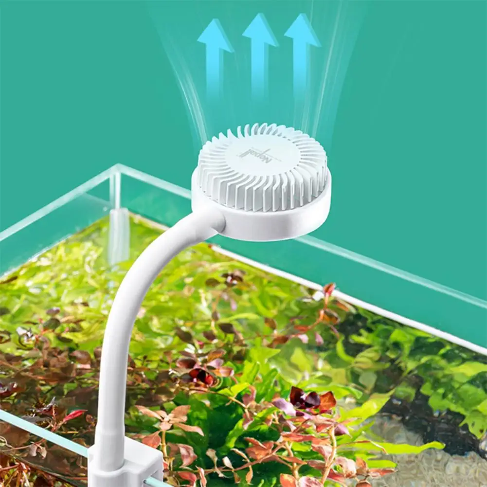 Usb Charging Small Fishbowl Led Light With Separate Power Switch High Brightness Clip-type Mini Water Grass Lamp Aquarium
Usb Charging Small Fishbowl Led Light With Separate Power Switch High Brightness Clip-type Mini Water Grass Lamp Aquarium