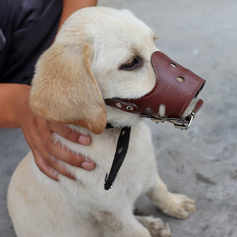 Dog Muzzle PU Leather Anti-bite Anti-eating Pet Dog Mouth Cover Dog Bark Stopper Mask Mouth Cover Pet Dog Accessories Pet Items
Dog Muzzle PU Leather Anti-bite Anti-eating Pet Dog Mouth Cover Dog Bark Stopper Mask Mouth Cover Pet Dog Accessories Pet Items