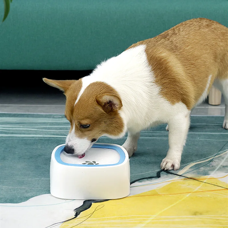 Pet Dog Cat Bowl Floating Bowl Water Drinker Not Wet Mouth Splash Water Cat Bowl Not Sprinkler Water Dispenser Portable Dog Bowl
Pet Dog Cat Bowl Floating Bowl Water Drinker Not Wet Mouth Splash Water Cat Bowl Not Sprinkler Water Dispenser Portable Dog Bowl