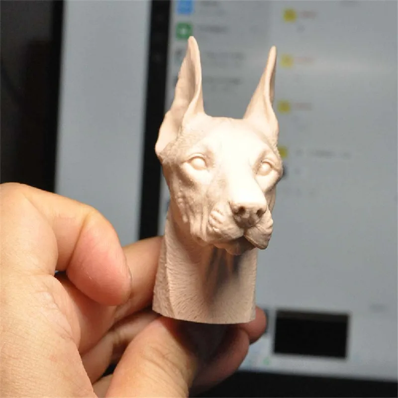 Painting Exercise Unpainted 1/6 Scale Doberman Head Sculpt Model For Action Figure Dolls Soldier Accessories Body
Painting Exercise Unpainted 1/6 Scale Doberman Head Sculpt Model For Action Figure Dolls Soldier Accessories Body