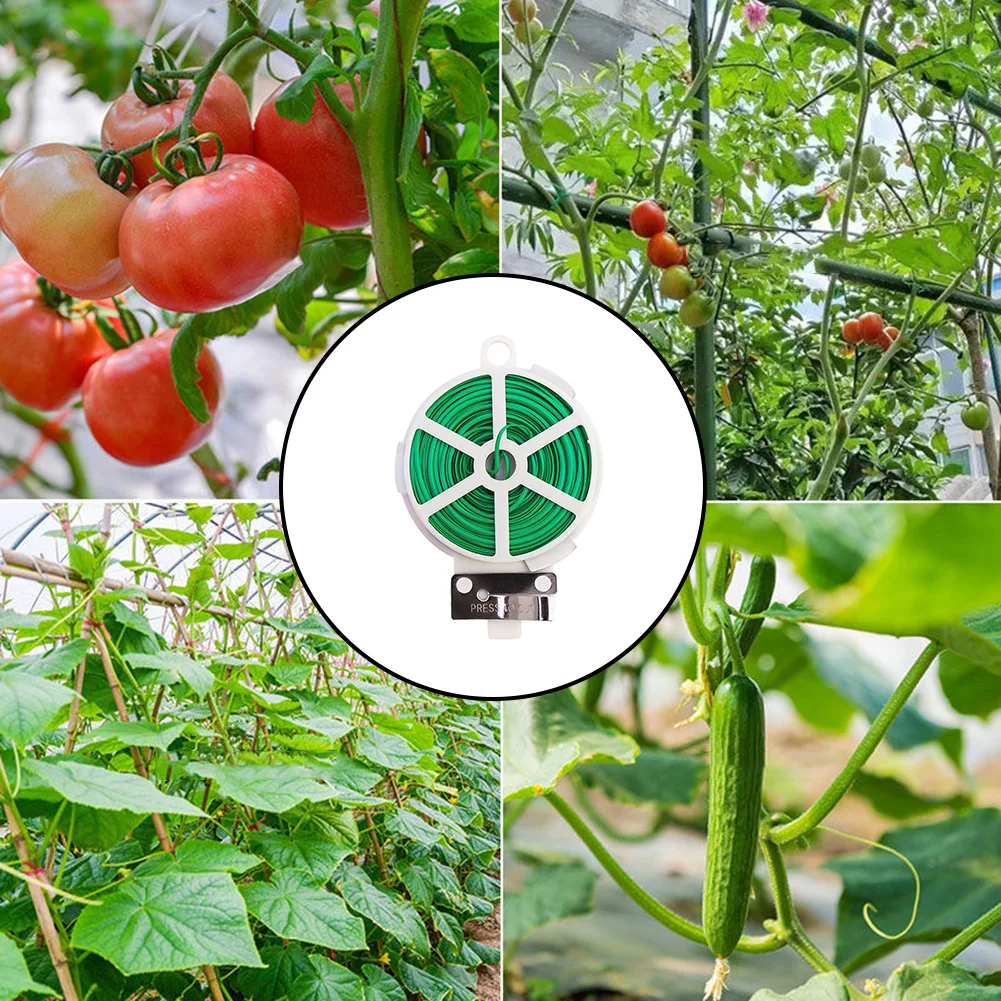 20/30/50/100M Garden Ties Iron Wire Ties With Cut Plant Ties For Gardening Flowers And Trees Climbing Cane Fixed Line
20/30/50/100M Garden Ties Iron Wire Ties With Cut Plant Ties For Gardening Flowers And Trees Climbing Cane Fixed Line