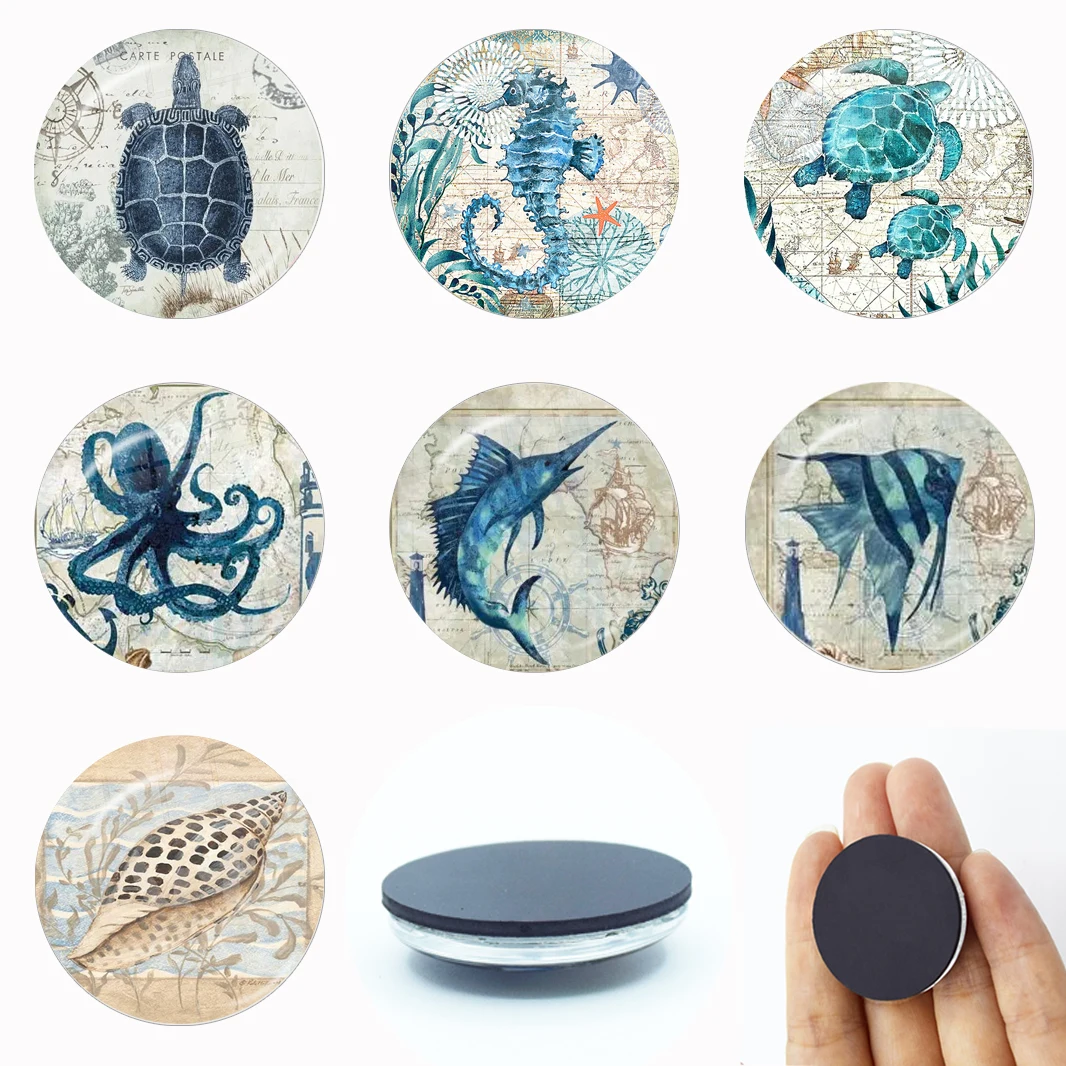 Sea Turtle Fridge Magnet Shark Dolphin Starfish Seahorse 30MM Glass Gem Magnetic Refrigerator Stickers Note Holder Home Decor
Sea Turtle Fridge Magnet Shark Dolphin Starfish Seahorse 30MM Glass Gem Magnetic Refrigerator Stickers Note Holder Home Decor