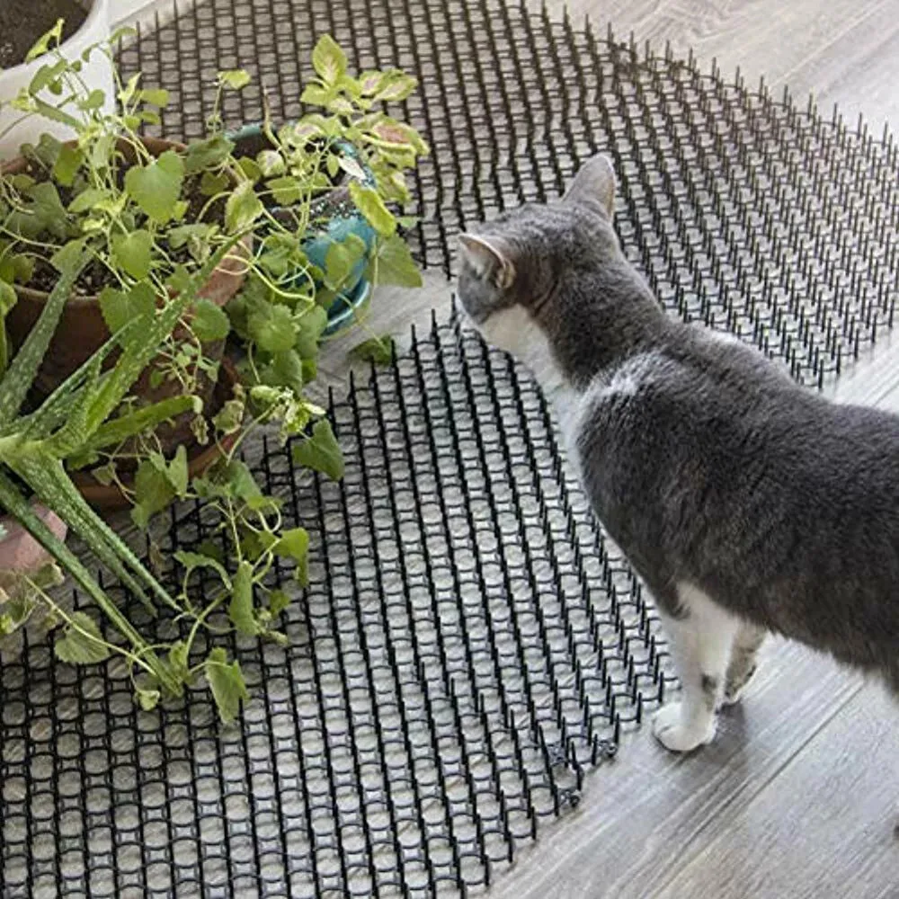 Garden Cat Scat Mats Anti Cat Mat Prickle Strips Net Network Spikes Prevent Cat Dog Digging Climbing Trees Cat Skewer Mesh Fence
Garden Cat Scat Mats Anti Cat Mat Prickle Strips Net Network Spikes Prevent Cat Dog Digging Climbing Trees Cat Skewer Mesh Fence