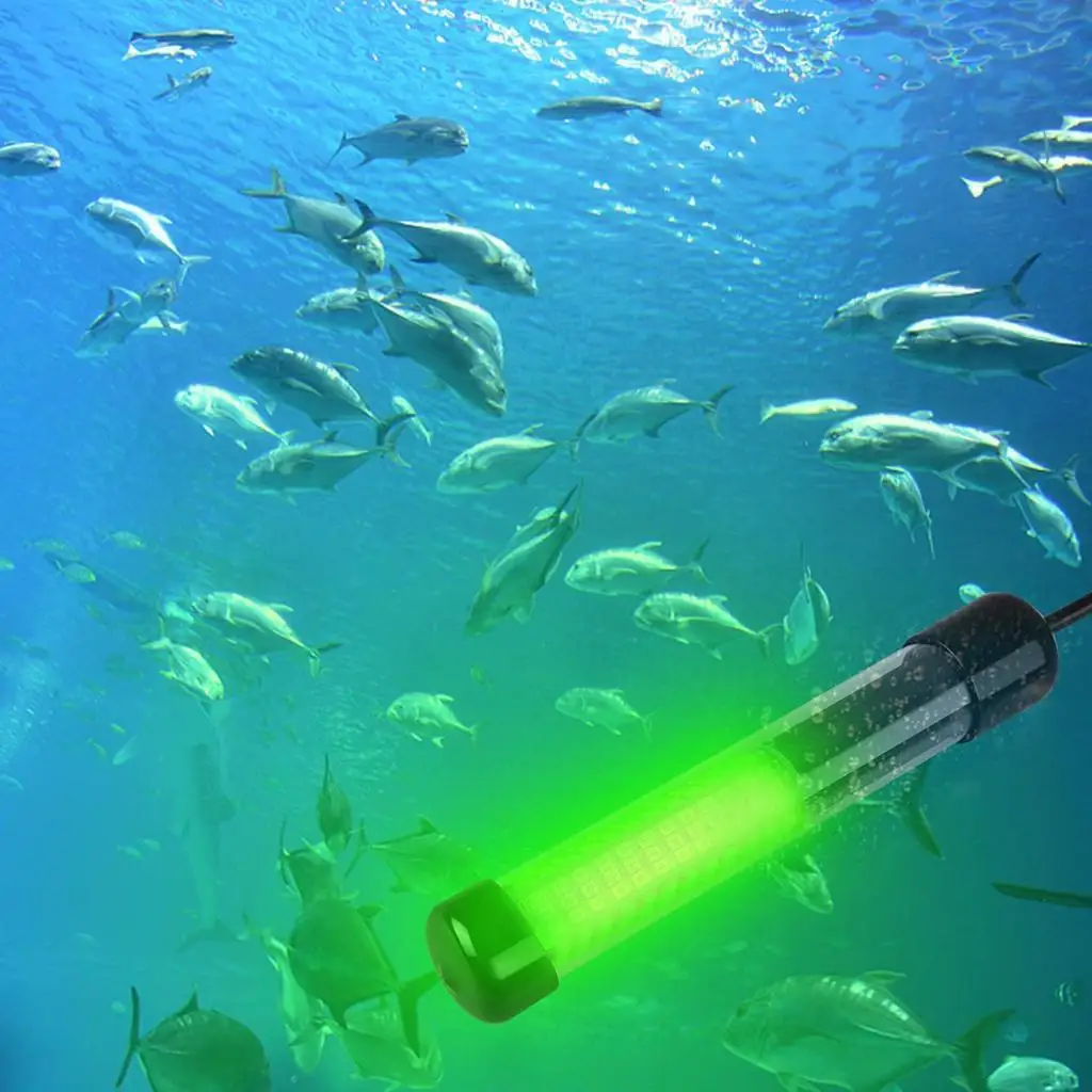 12V 180 LEDs Submersible Fishing Light Underwater Fishes Finder Lamp with 5 Meters Cord
12V 180 LEDs Submersible Fishing Light Underwater Fishes Finder Lamp with 5 Meters Cord