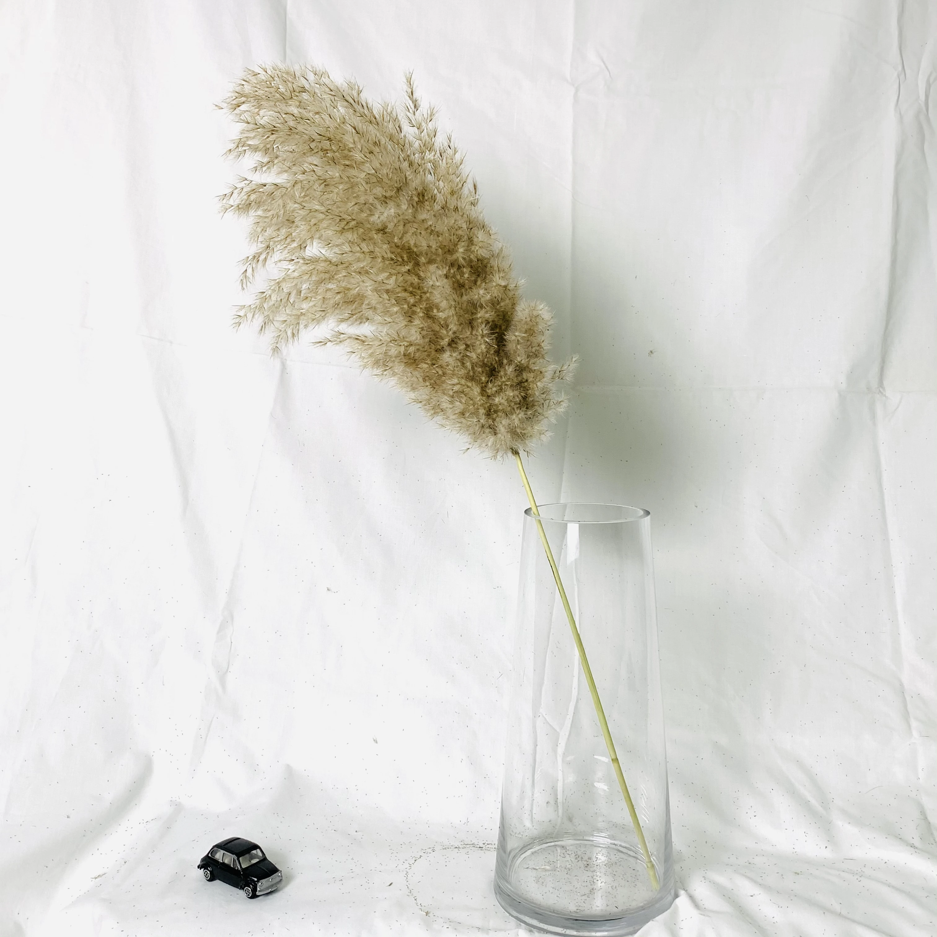 20 stems Dried Pampas Grass Bouquet,Wedding Decor,Dried flowers,Christmas Home Decorative,Artificial Flowers
20 stems Dried Pampas Grass Bouquet,Wedding Decor,Dried flowers,Christmas Home Decorative,Artificial Flowers