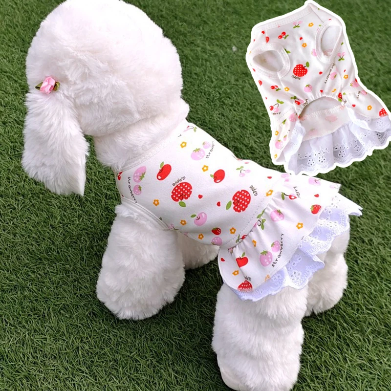 Strawberry Dress Pet Dog Clothes Cat Suspenders Sweet Clothing Dogs Small Chihuahua Summer Pink Breathable Girl Boy Chihuahua
Strawberry Dress Pet Dog Clothes Cat Suspenders Sweet Clothing Dogs Small Chihuahua Summer Pink Breathable Girl Boy Chihuahua