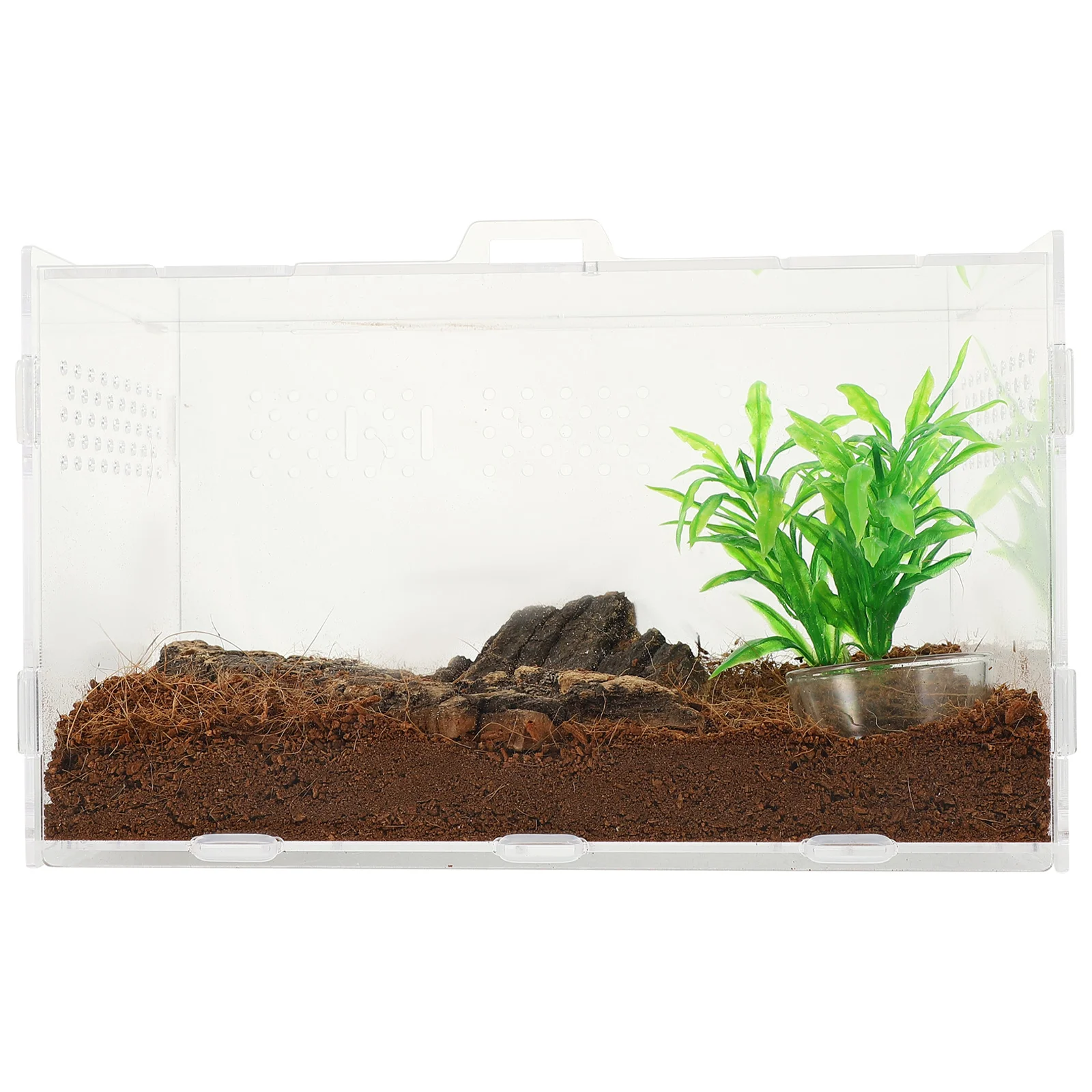 Transparent Terrarium Acrylic Tank Turtle Enclosure Leopard Gecko 60 Gallon Reptile Clear Frog Habitat
Transparent Terrarium Acrylic Tank Turtle Enclosure Leopard Gecko 60 Gallon Reptile Clear Frog Habitat