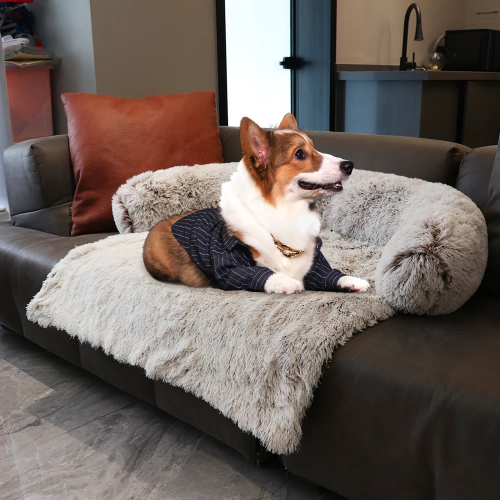 Plush Blanket Dual-use One Pet Kennel Dog Sofa Bed Pet Supplies Washable Soft Warm Nest Bed Large Round Comfortable Plush Kennel
Plush Blanket Dual-use One Pet Kennel Dog Sofa Bed Pet Supplies Washable Soft Warm Nest Bed Large Round Comfortable Plush Kennel