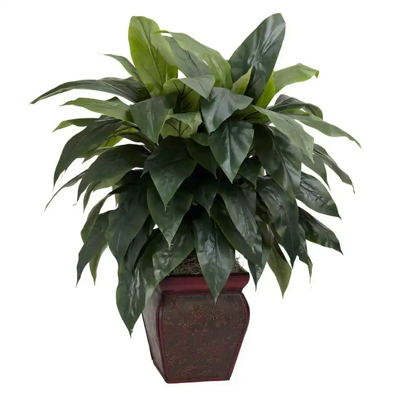 Декоративная ваза Cordyline из полиэстера, искусственное растение, ваза из зеленого камня, Роскошный домашний декор, предметы для украшения стола, гидропоника pl
Декоративная ваза Cordyline из полиэстера, искусственное растение, ваза из зеленого камня, Роскошный домашний декор, предметы для украшения стола, гидропоника pl