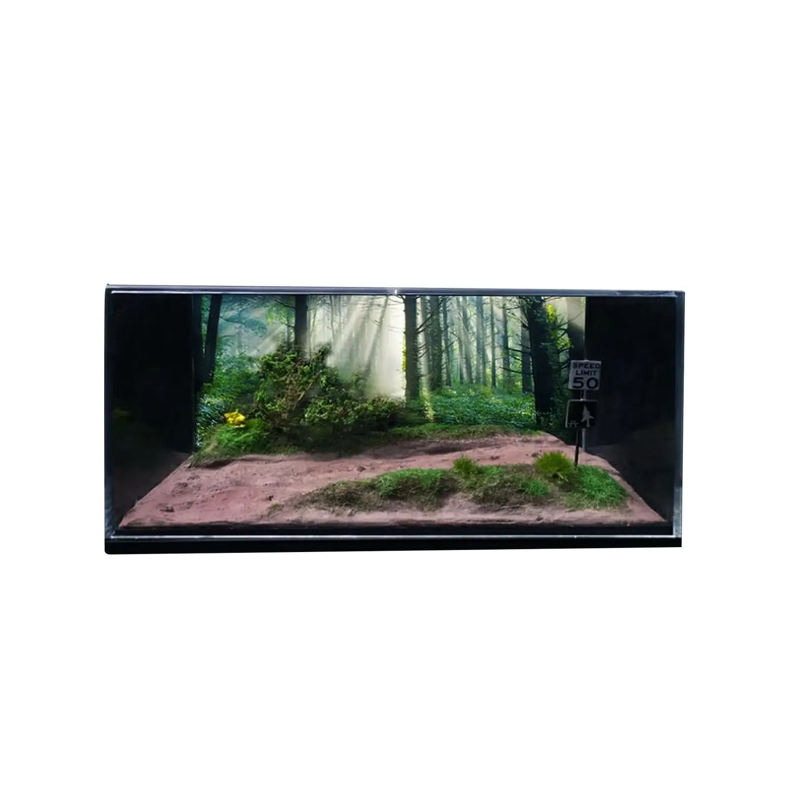 

1/64 Model Car Scene Diorama Car Display Scenery Display with Display Case Forest Country Road Scene for Car Model Decoration