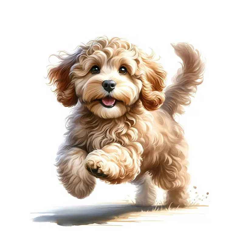 Съемная наклейка на стену Cockapoo из ПВХ
Съемная наклейка на стену Cockapoo из ПВХ