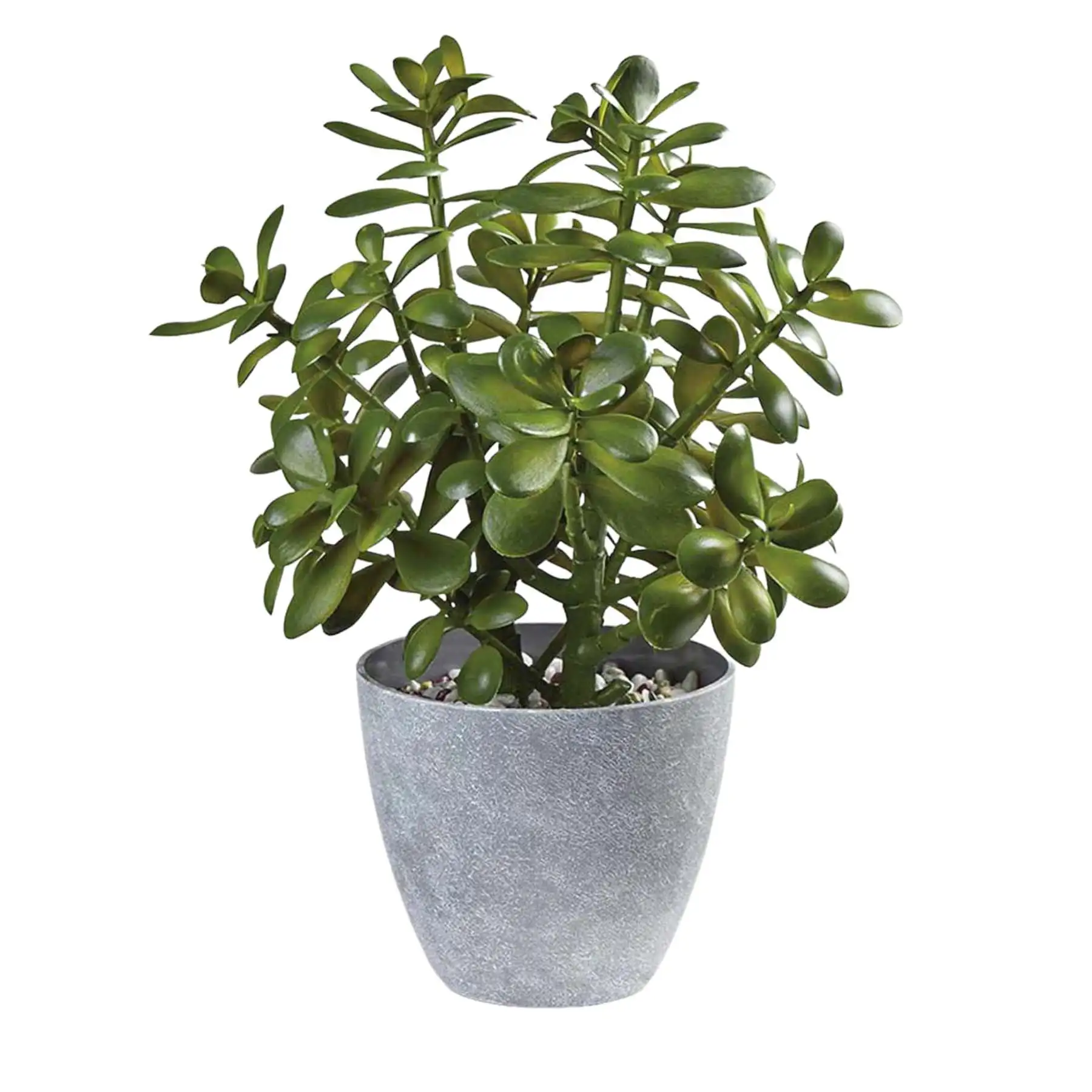 16 inch Tall Potted Faux Jade Plant Tabletop Greenery | Artificial Green Crassula Ovata Succulent Money Tree in Melamine Pot | A
16 inch Tall Potted Faux Jade Plant Tabletop Greenery | Artificial Green Crassula Ovata Succulent Money Tree in Melamine Pot | A