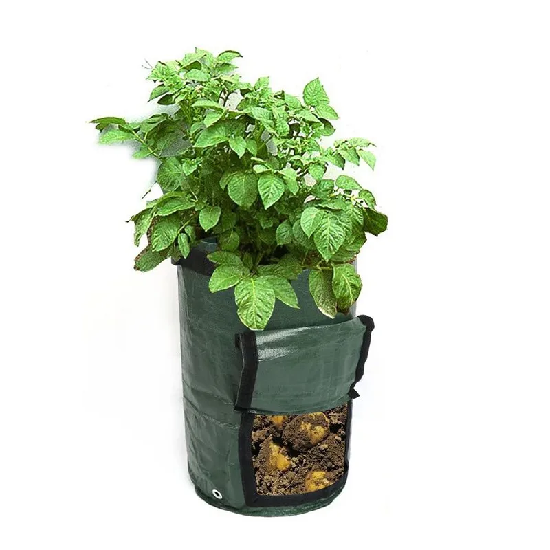 PE Potato Planting Bag Tomato Vegetable Plant Growth Bag Onion Plant Bag Thickened Garden Carrot Taro Peanut Growing Bag
PE Potato Planting Bag Tomato Vegetable Plant Growth Bag Onion Plant Bag Thickened Garden Carrot Taro Peanut Growing Bag