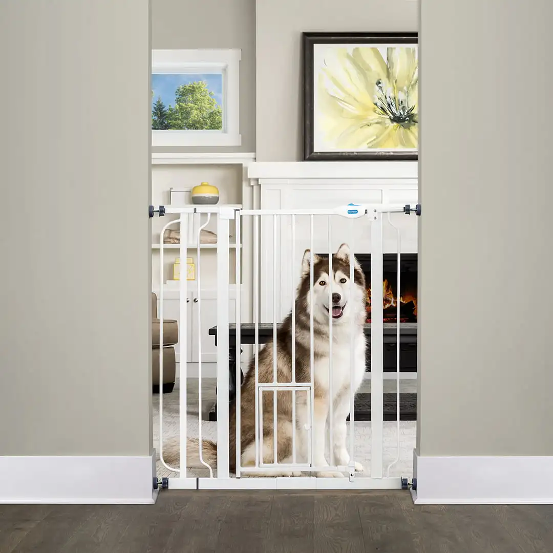 Carlson Pet Products Extra Tall Walk-thru Gate, With Smaller Door, 36" Tall, Extends between 29"-36" Wide
Carlson Pet Products Extra Tall Walk-thru Gate, With Smaller Door, 36" Tall, Extends between 29"-36" Wide