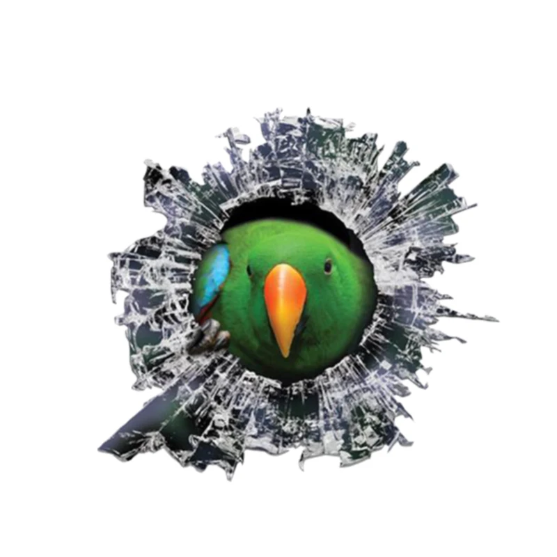 Personality Car Sticke Eclectus Roratus Glass Slag Vinyl Waterproof Car Window High Quality wall, toilet, children's room, Cover
Personality Car Sticke Eclectus Roratus Glass Slag Vinyl Waterproof Car Window High Quality wall, toilet, children's room, Cover
