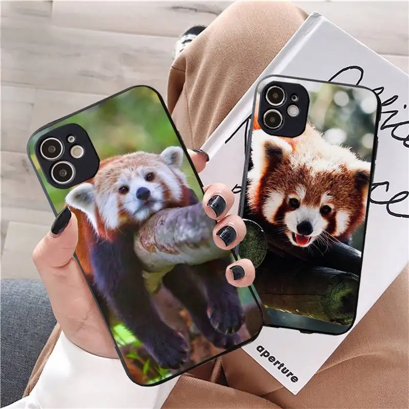 red panda cute animal Phone Case For iphone 11 13 12 14 x xs xr pro max mini plus boys girls Funda
red panda cute animal Phone Case For iphone 11 13 12 14 x xs xr pro max mini plus boys girls Funda