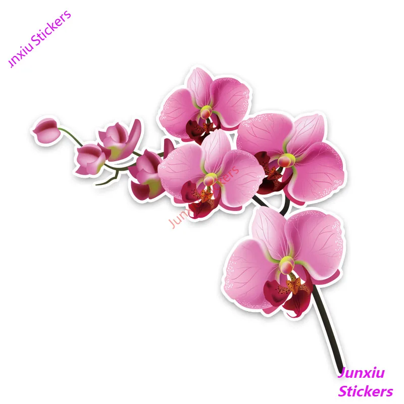Interesting Orchid Decor Car Stickers High Quality Window Camper Truck Car Body Cover scratches SUV Fine Decor Decal PVC12x12cm
Interesting Orchid Decor Car Stickers High Quality Window Camper Truck Car Body Cover scratches SUV Fine Decor Decal PVC12x12cm