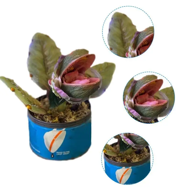 New Piranha Flower Decoration Cannibal Plant Figurines Piranha Flower Fake Movie Prop Yard Resin Ornament Little Shop Of Horrors
New Piranha Flower Decoration Cannibal Plant Figurines Piranha Flower Fake Movie Prop Yard Resin Ornament Little Shop Of Horrors
