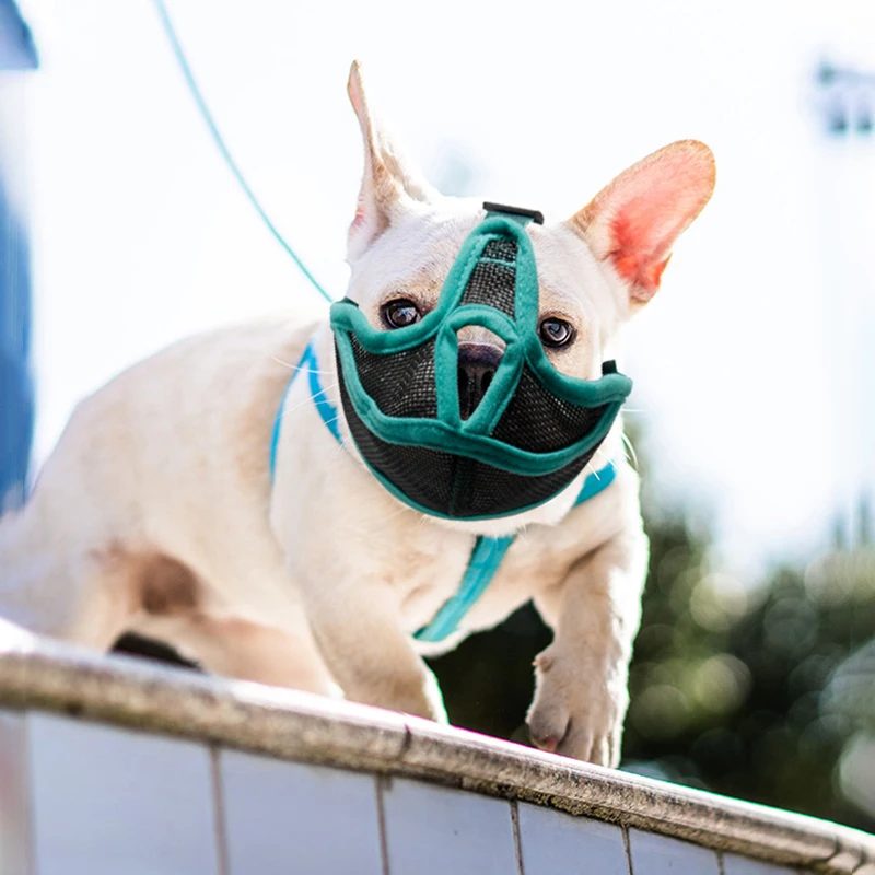 New Muzzle for Pug Bulldog Short Snout Muzzle Short for Flat Face Dog Eye Hole Muzzle Mouth Cover Breathable Anti-Bite Chew Bark
New Muzzle for Pug Bulldog Short Snout Muzzle Short for Flat Face Dog Eye Hole Muzzle Mouth Cover Breathable Anti-Bite Chew Bark