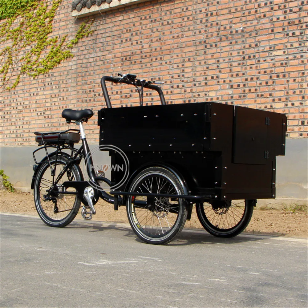 250W European Electric Adult Pedal Adult Cargo Bike Family Kids Tricycle Adult 3 Wheels Trike For Shopping Carrying Child
250W European Electric Adult Pedal Adult Cargo Bike Family Kids Tricycle Adult 3 Wheels Trike For Shopping Carrying Child