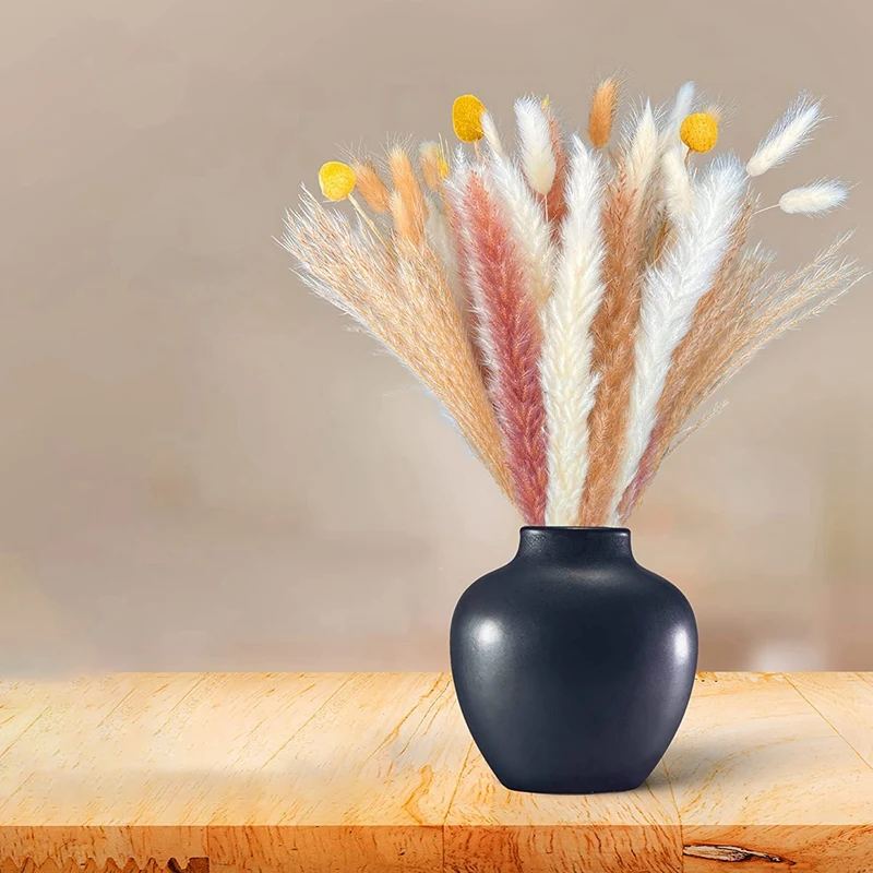 100 PCS Dried Pampas Grass Decor , Phragmites Dried Stems For Rustic Wedding Decor, Dried Boho Flowers Bouquet
100 PCS Dried Pampas Grass Decor , Phragmites Dried Stems For Rustic Wedding Decor, Dried Boho Flowers Bouquet