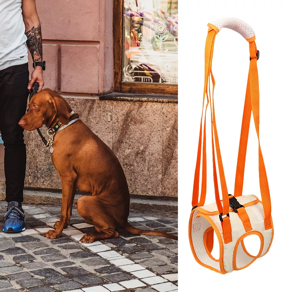 Pet Dog Hind Leg Mesh Belts Walking Bracket Support Harness Dog Safety Care Rehabilitation Exercise Old Injured Disabled Supplie
Pet Dog Hind Leg Mesh Belts Walking Bracket Support Harness Dog Safety Care Rehabilitation Exercise Old Injured Disabled Supplie