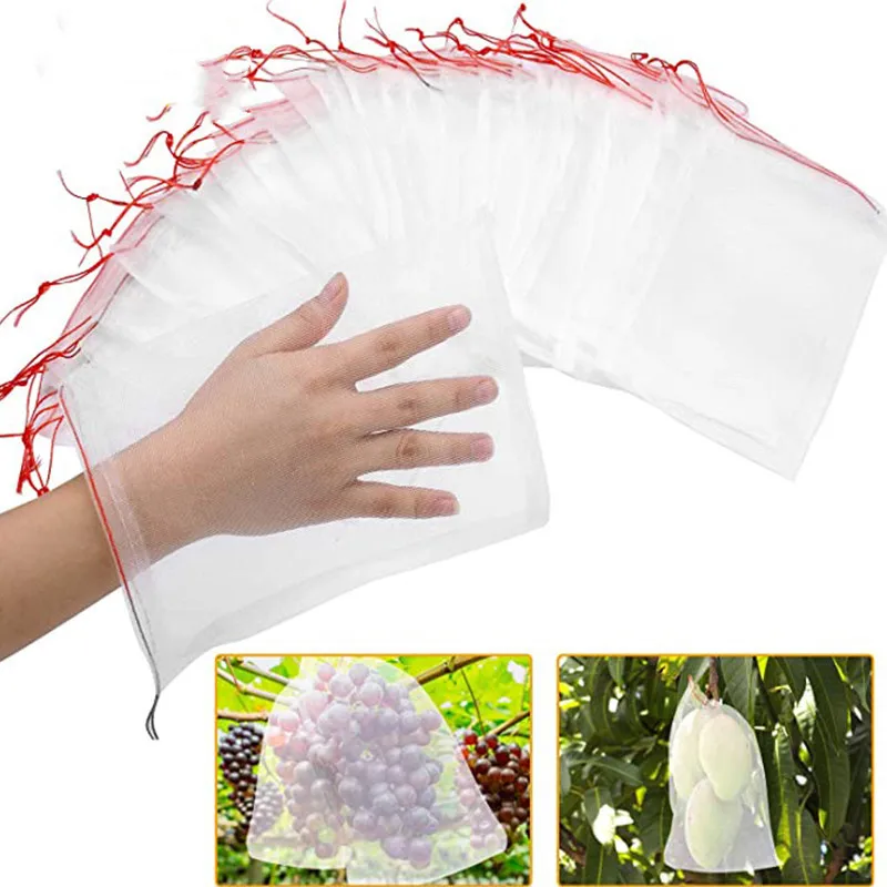 Insect-proof Net Insect-proof Bag 3-10PCS Melon and Fruit Anti-fly Anti-bird Bag Filter Soaked Seed Grape Fruit Nylon Mesh Bag
Insect-proof Net Insect-proof Bag 3-10PCS Melon and Fruit Anti-fly Anti-bird Bag Filter Soaked Seed Grape Fruit Nylon Mesh Bag