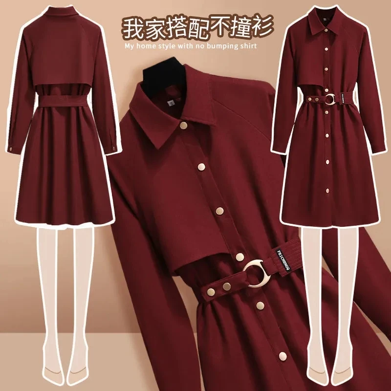 Spring Autumn Single Breasted Dress Elegant Women's Clothing 2023 New Vintage Long Sleeve Polo Neck Waist Winter Dresses AC841
Spring Autumn Single Breasted Dress Elegant Women's Clothing 2023 New Vintage Long Sleeve Polo Neck Waist Winter Dresses AC841