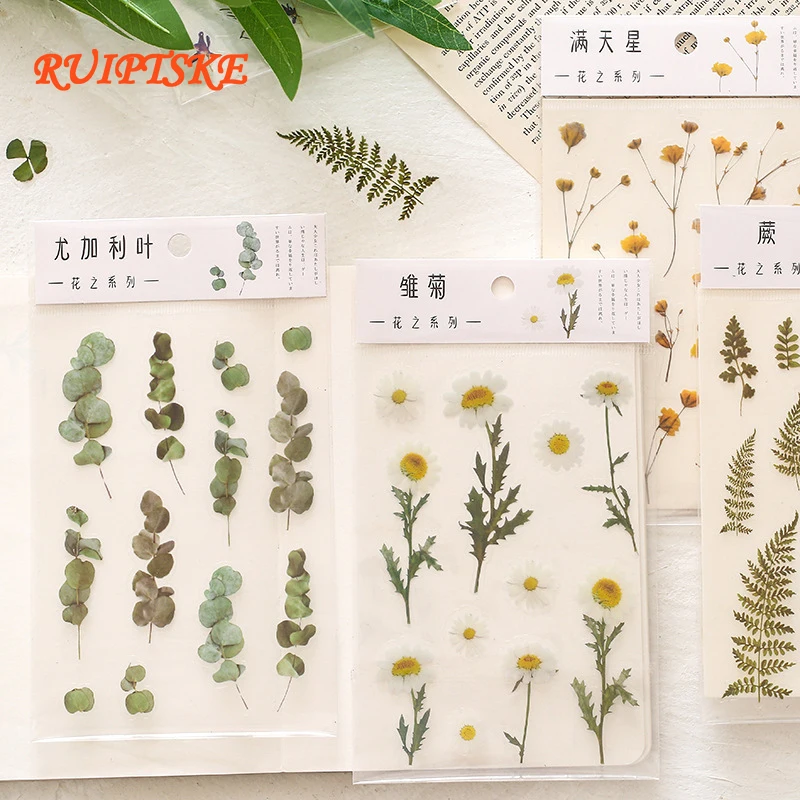 RUIPTSKE PET Plant Flower Series Stickers Waterproof Adhesive DIY Decorative Album Diary Stick Label Stationery Stickers X1040
RUIPTSKE PET Plant Flower Series Stickers Waterproof Adhesive DIY Decorative Album Diary Stick Label Stationery Stickers X1040