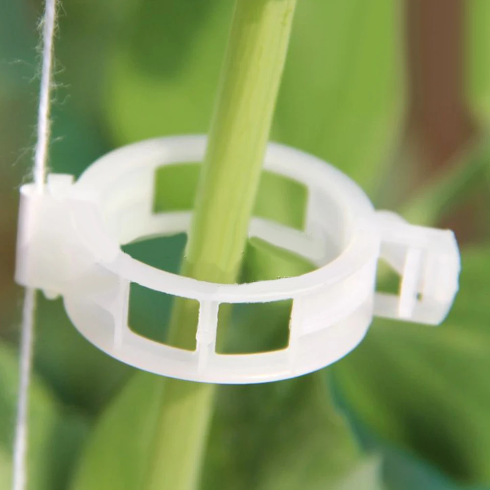 200pcs Plastic Plant Clips Supports Connects Reusable Protection Grafting Fixing Plant Vegetable Tomato Tools Garden Supplies
200pcs Plastic Plant Clips Supports Connects Reusable Protection Grafting Fixing Plant Vegetable Tomato Tools Garden Supplies