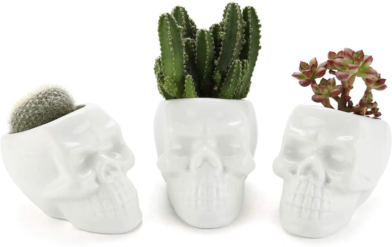 4PcsWhite Ceramic Skull Shaped Succulent Planter Pots Containers for Home Office Desk Decoration Birthday Wedding Christmas Gift
4PcsWhite Ceramic Skull Shaped Succulent Planter Pots Containers for Home Office Desk Decoration Birthday Wedding Christmas Gift