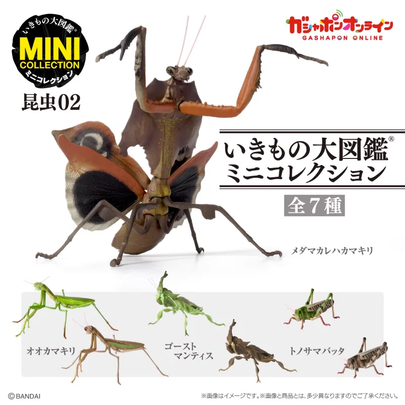 Gashapon Capsule Toy Mini Insect Model Miniature Deroplatys Desiccata Grasshopper Figures Model Table Ornaments Children Gifts
Gashapon Capsule Toy Mini Insect Model Miniature Deroplatys Desiccata Grasshopper Figures Model Table Ornaments Children Gifts