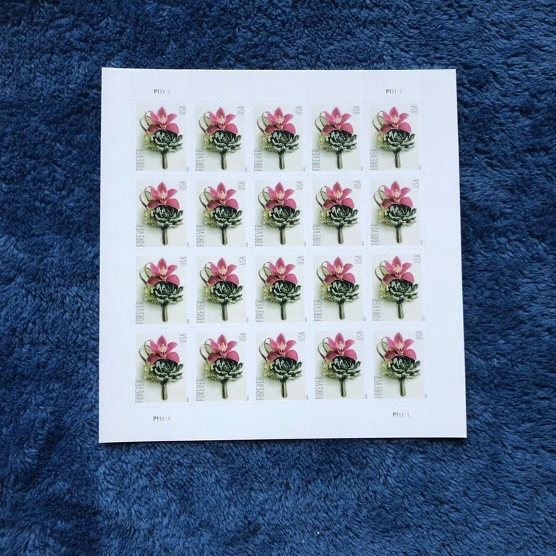 USPS permanent stamps of the United States, each with 20 pieces.(collection, commemorative, family letter, office mail) stamps
USPS permanent stamps of the United States, each with 20 pieces.(collection, commemorative, family letter, office mail) stamps