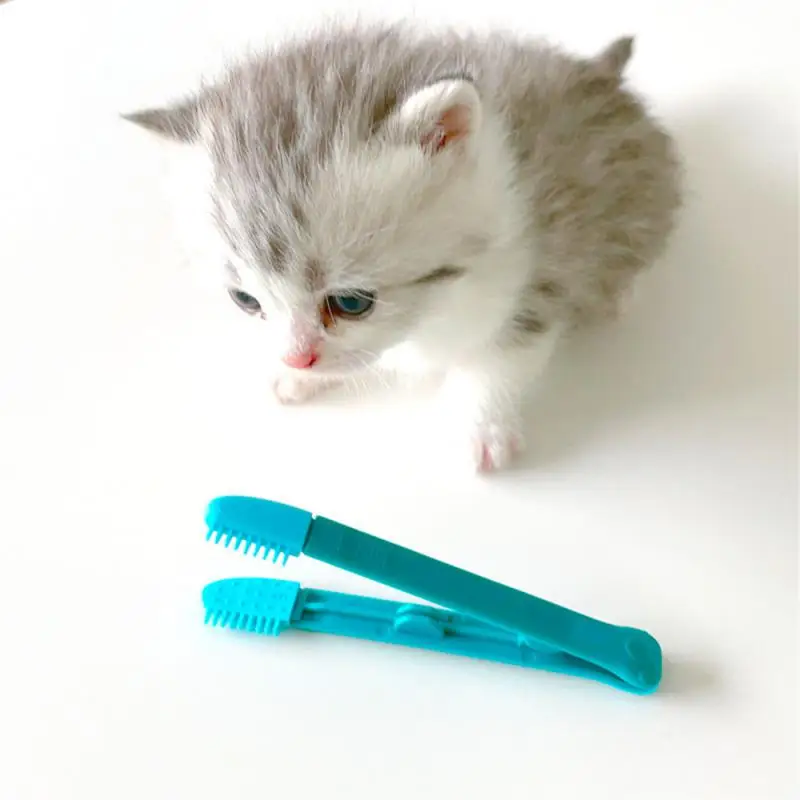 

Reusable Eyes Poo Cleaning Brush Buckle Design Pet Comb Tear Stain Brushes Toothbrush Tear Stains Brush Kitten Eye Rub Eye Care