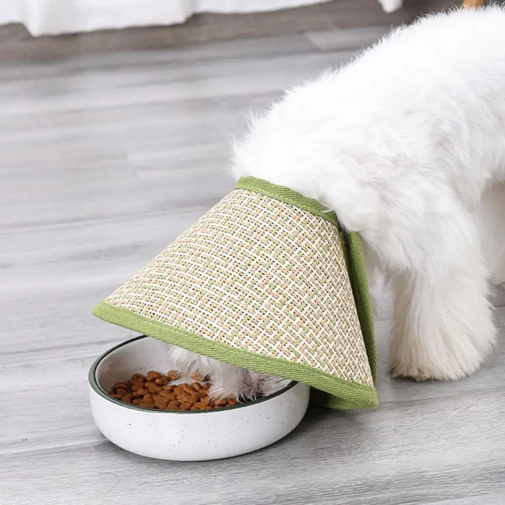 Excellent Cat Cone Collar Breathable No Odor Pet Dog Cone Cat Wound Recovery Collar Pet Neck Cone Cat Recovery Collar
Excellent Cat Cone Collar Breathable No Odor Pet Dog Cone Cat Wound Recovery Collar Pet Neck Cone Cat Recovery Collar