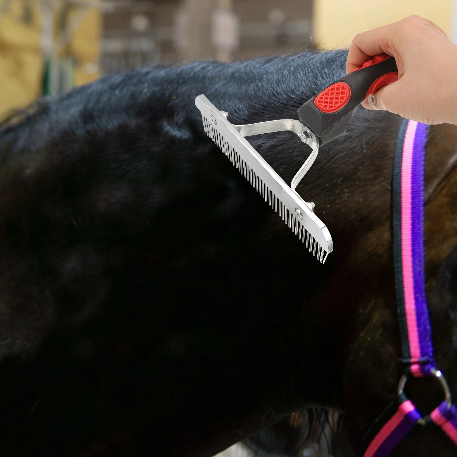 Harness Horse Grooming Rake Hair Removal Tool Rubber Handle Supplies Metal Hairbrush Comb Beauty Tools
Harness Horse Grooming Rake Hair Removal Tool Rubber Handle Supplies Metal Hairbrush Comb Beauty Tools
