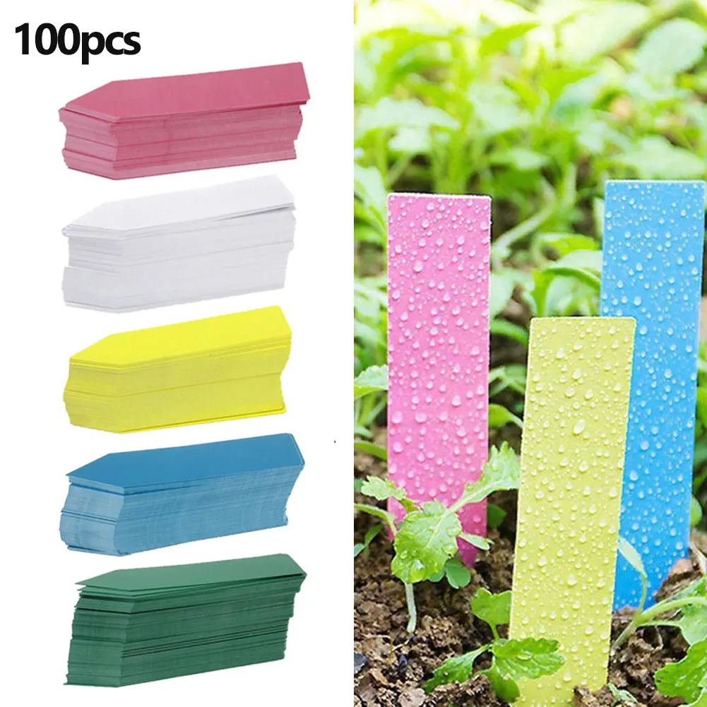 100Pcs Horticultural Plant Label Insertion Card Plant Tags Nursery Markers Flower Pots Seedling Labels Tray Mark Garden Tool
100Pcs Horticultural Plant Label Insertion Card Plant Tags Nursery Markers Flower Pots Seedling Labels Tray Mark Garden Tool