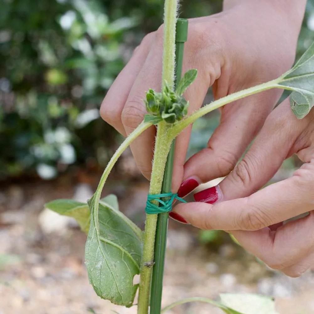 20/30/50/100M Garden Ties Iron Wire Ties With Cut Plant Ties For Gardening Flowers And Trees Climbing Cane Fixed Line
20/30/50/100M Garden Ties Iron Wire Ties With Cut Plant Ties For Gardening Flowers And Trees Climbing Cane Fixed Line