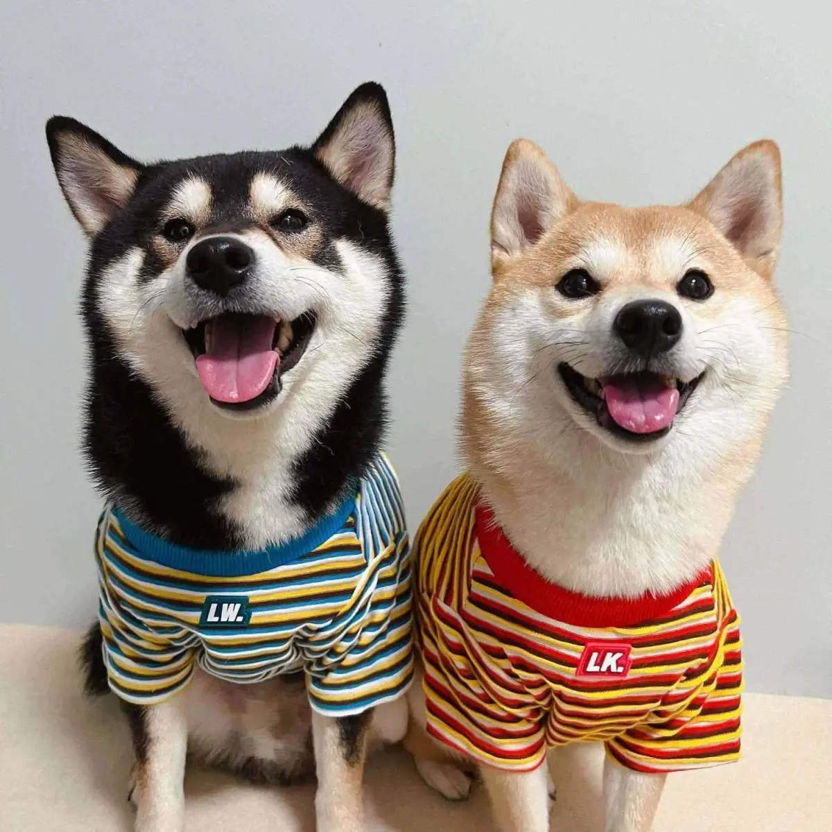 Striped Spring Autumn Summer Shiba Inu Teddy Bichon Pomeranian Small Dog Puppy Pet Clothes Breathable Dogs Clothes
Striped Spring Autumn Summer Shiba Inu Teddy Bichon Pomeranian Small Dog Puppy Pet Clothes Breathable Dogs Clothes