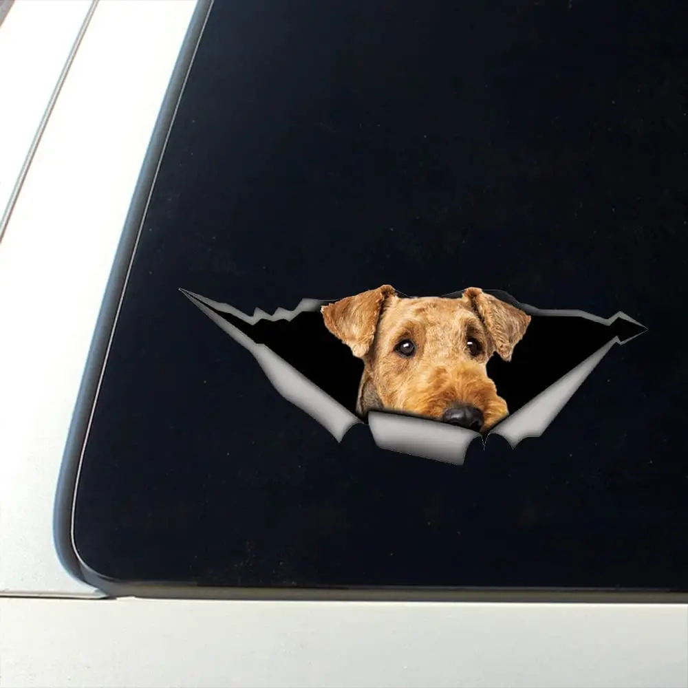 Airedale Terrier Sticker, Car Decal, Vinyl Decal, Pet Sticker, Dog Decal, Airedale Terrier Decal
Airedale Terrier Sticker, Car Decal, Vinyl Decal, Pet Sticker, Dog Decal, Airedale Terrier Decal