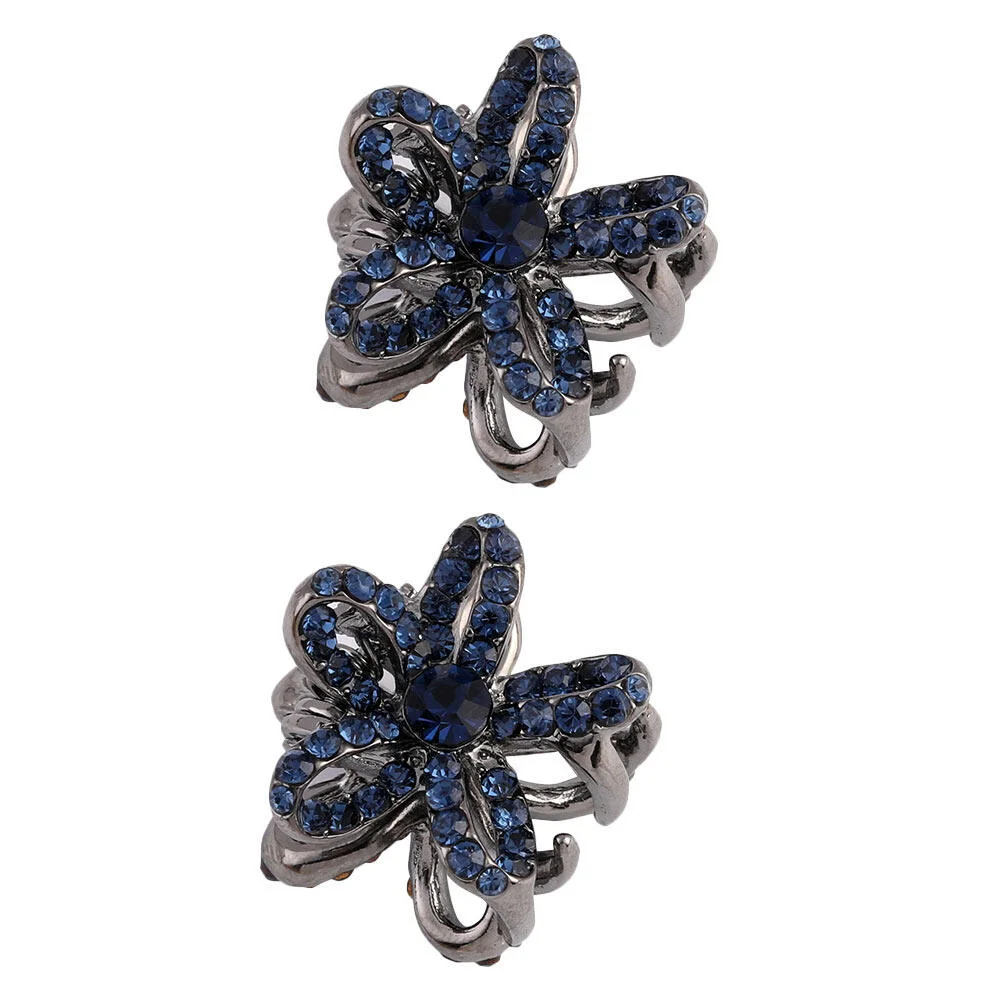 2 Pcs Top Clip Hair Jaw Clips Mini Claw Hairstyle Clamps Rhinestone Lady Headdress Tiara Styling French Buns
2 Pcs Top Clip Hair Jaw Clips Mini Claw Hairstyle Clamps Rhinestone Lady Headdress Tiara Styling French Buns